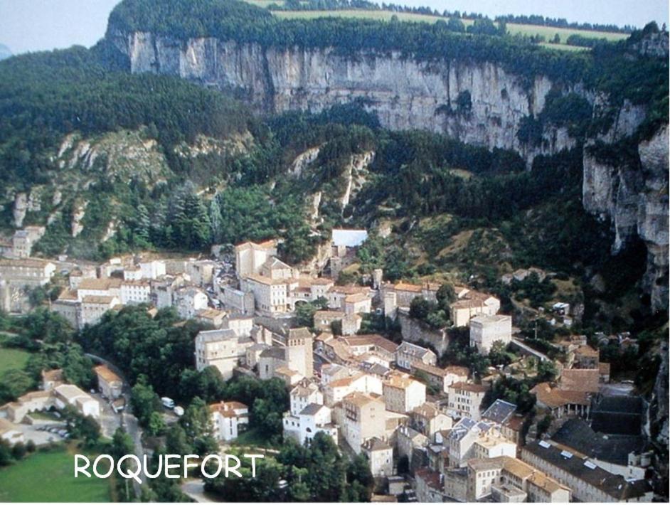 Chambre Au Calme Avec Spa Privatif Gratuit Sud Aveyron Les Palmiers Des Causses Saint-Rome-de-Tarn Kültér fotó